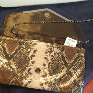 Snakeskin Clutch